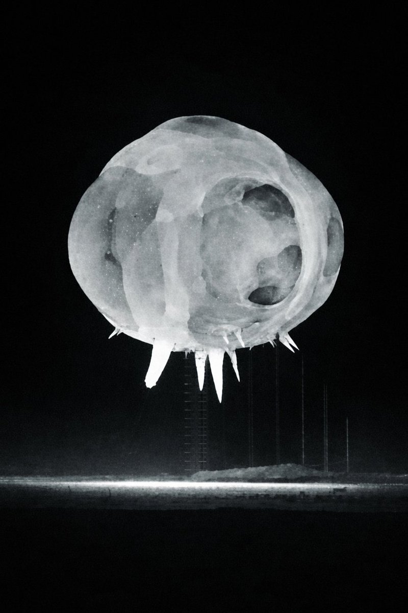 MAstronomers's tweet photo. 🚨: Behold! You're looking a nuclear explosion 0.001 seconds after explosion.

The birth of a star, trapped on Earth for a microsecond.

Its core can reach temperatures over 20 million degrees Celsius. https://t.co/6jbpky3KeT