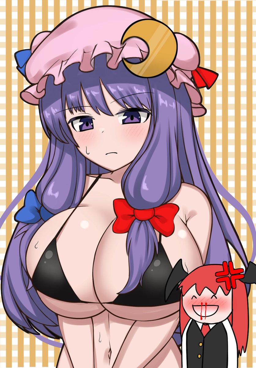 パチュリー様をエロい目で見るな 