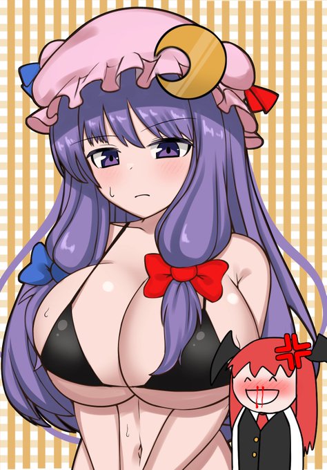 パチュリー様をエロい目で見るな 