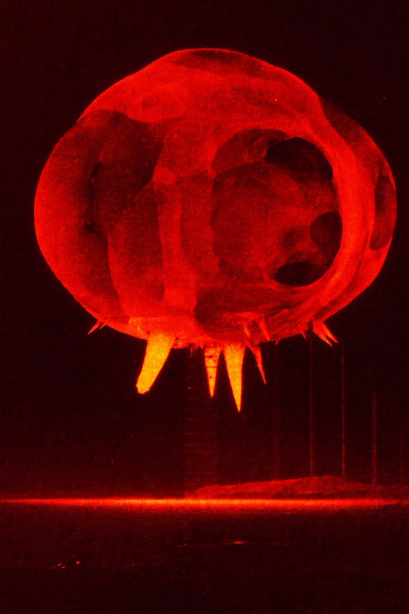MAstronomers's tweet photo. 🚨: Behold! You're looking a nuclear explosion 0.001 seconds after explosion.

The birth of a star, trapped on Earth for a microsecond.

Its core can reach temperatures over 20 million degrees Celsius. https://t.co/6jbpky3KeT