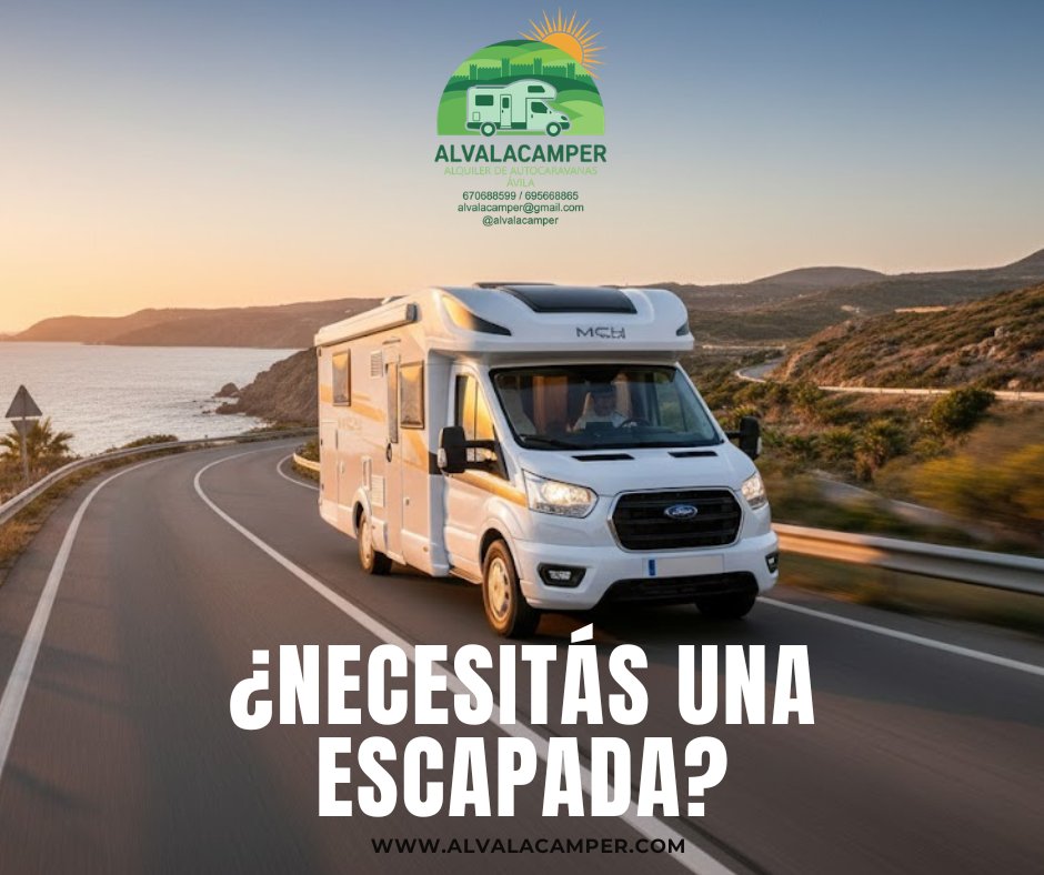 ALVALACAMPER tweet media