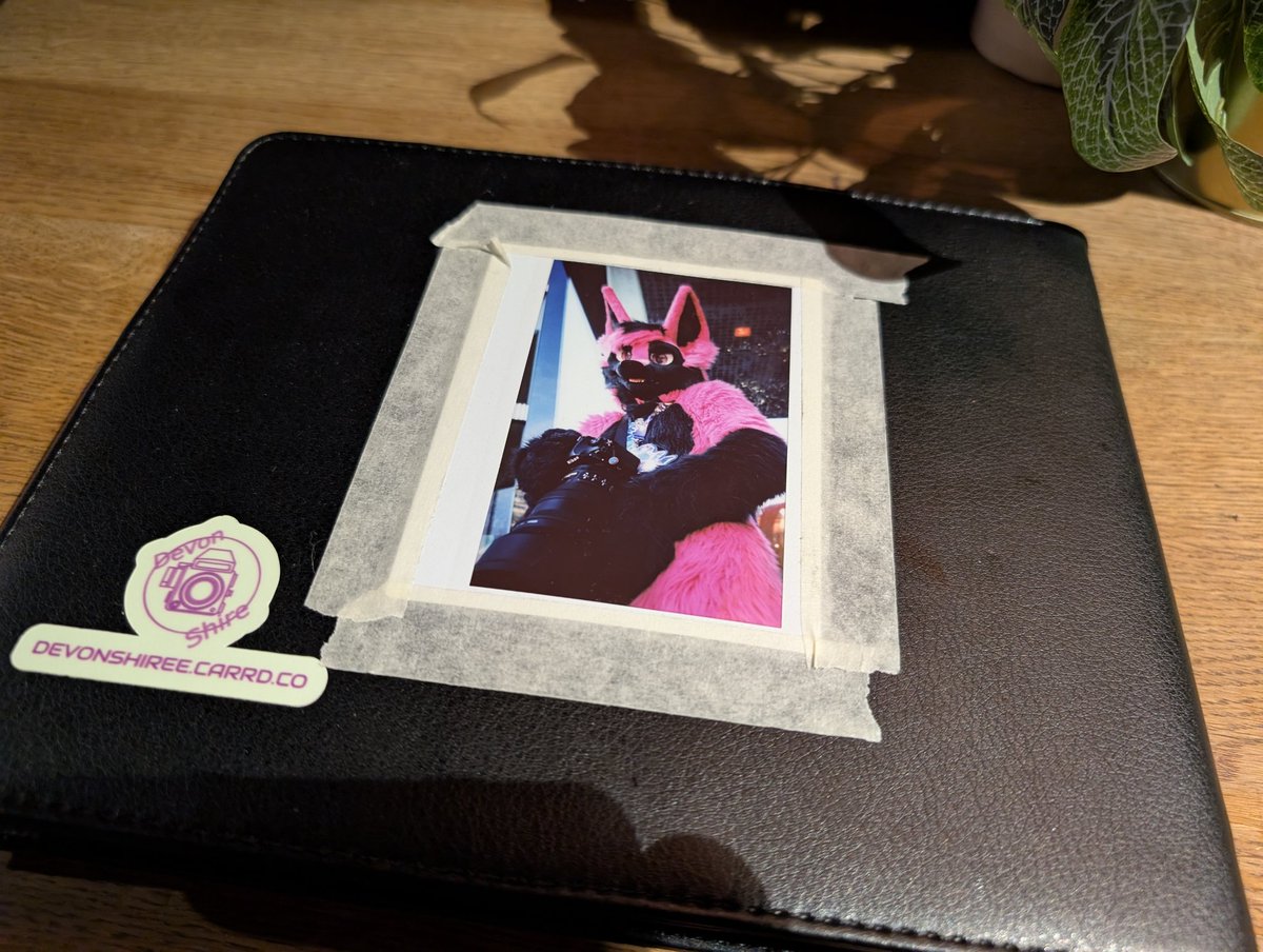 Devonshiree tweet media