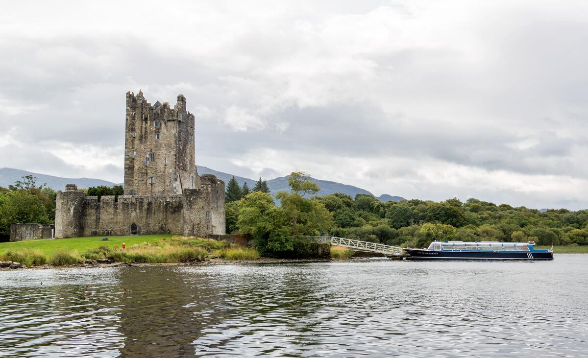DestinationKillarney tweet media