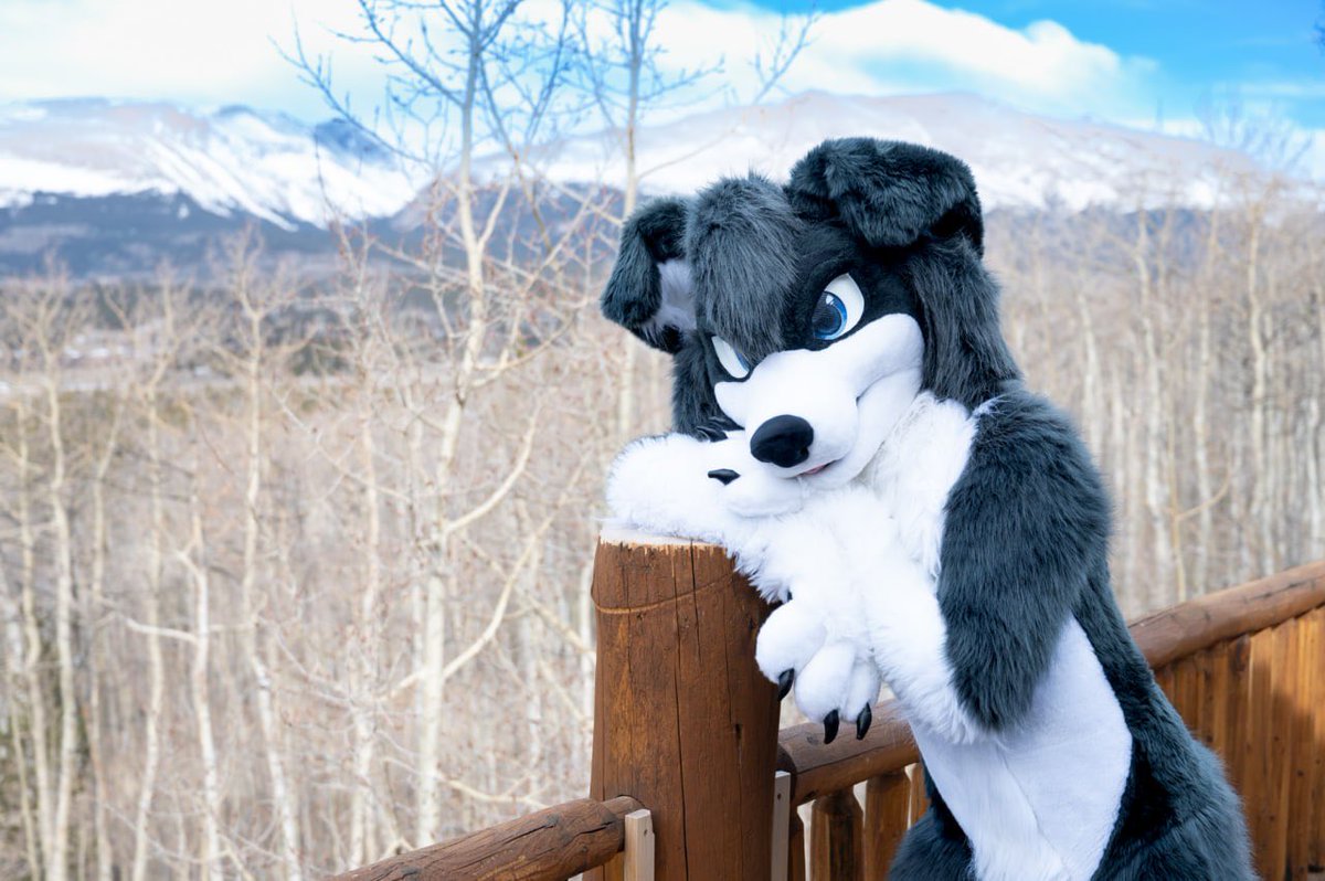 Sandi_Colli's tweet photo. 🏔️

I’ll be better at snowboarding next time 🐶🤝

🐴: @Cal_the_Horse 
🐱: SadeySnep (no twit)

📸/👨‍🍳: @ajtexasranger https://t.co/YYbqY1Xlu1