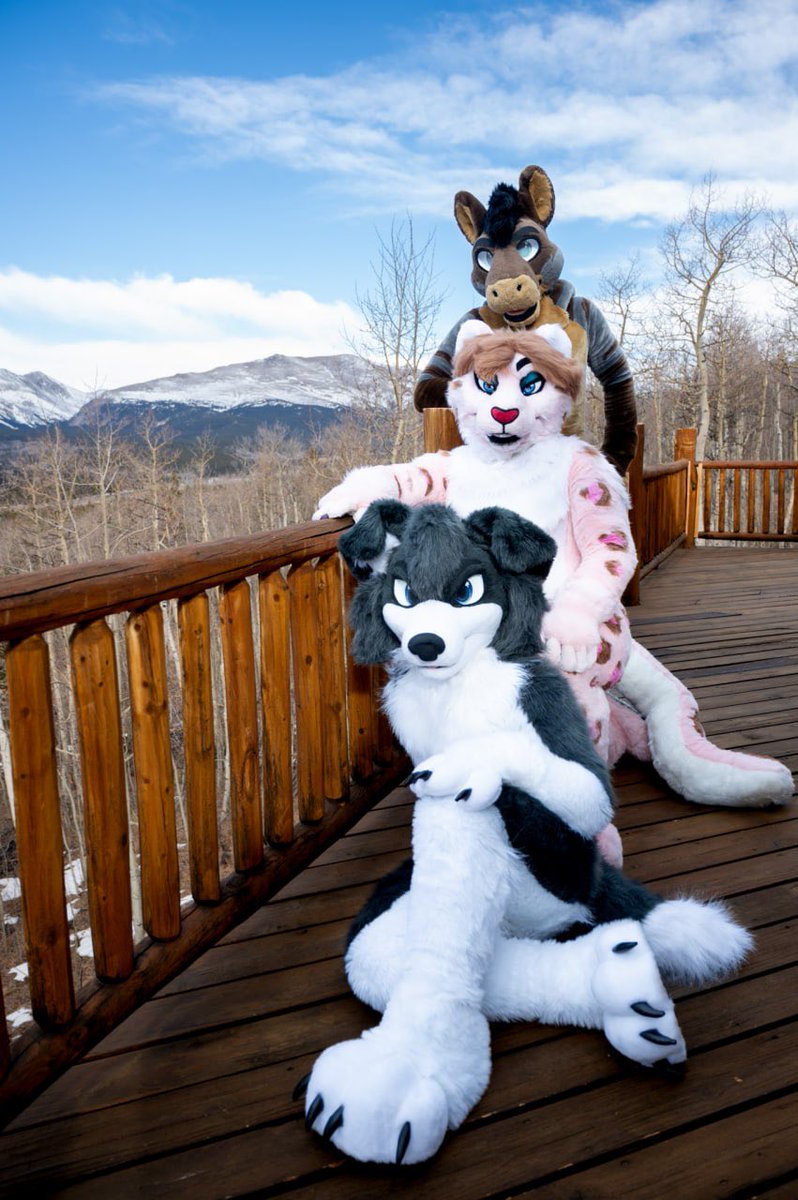 Sandi_Colli's tweet photo. 🏔️

I’ll be better at snowboarding next time 🐶🤝

🐴: @Cal_the_Horse 
🐱: SadeySnep (no twit)

📸/👨‍🍳: @ajtexasranger https://t.co/YYbqY1Xlu1