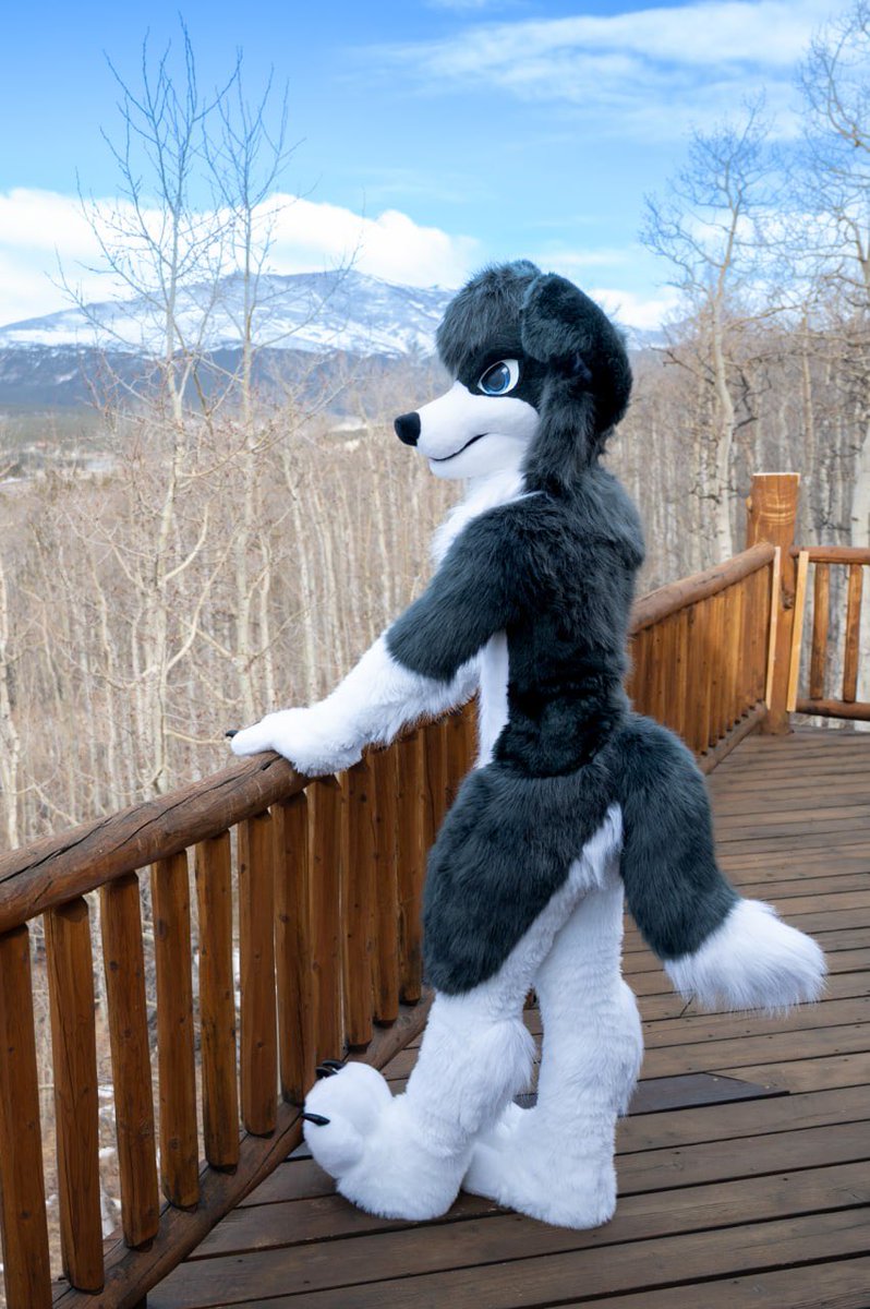 Sandi_Colli's tweet photo. 🏔️

I’ll be better at snowboarding next time 🐶🤝

🐴: @Cal_the_Horse 
🐱: SadeySnep (no twit)

📸/👨‍🍳: @ajtexasranger https://t.co/YYbqY1Xlu1