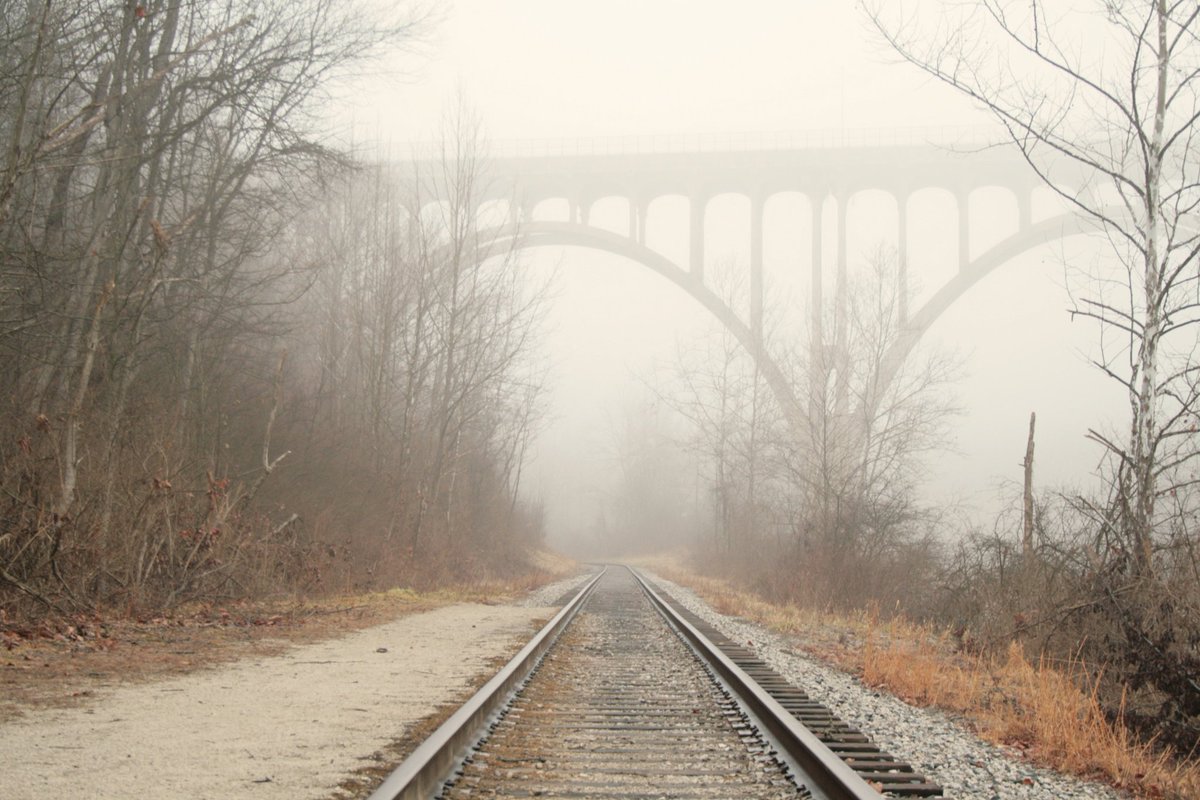 Brad_Nellis's tweet photo. It was beautiful and foggy this morning; perfect for a trip into @CVNPNPS #ThisIsCleveland https://t.co/7v38BFIYBw