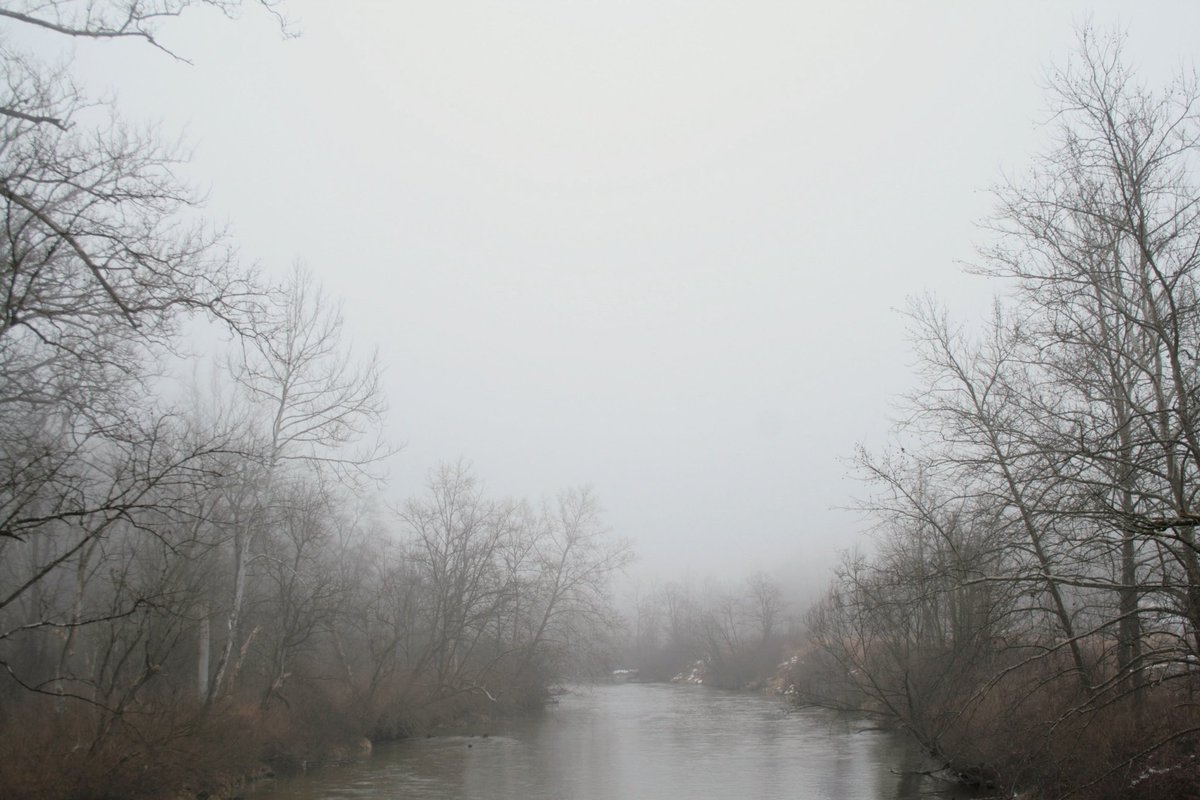 Brad_Nellis's tweet photo. It was beautiful and foggy this morning; perfect for a trip into @CVNPNPS #ThisIsCleveland https://t.co/7v38BFIYBw