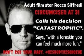 King of the Marsh tweet media