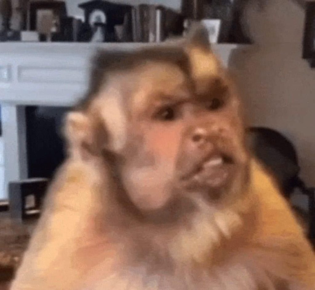 แกกล้าดียังไงเจ้าลิงแก่