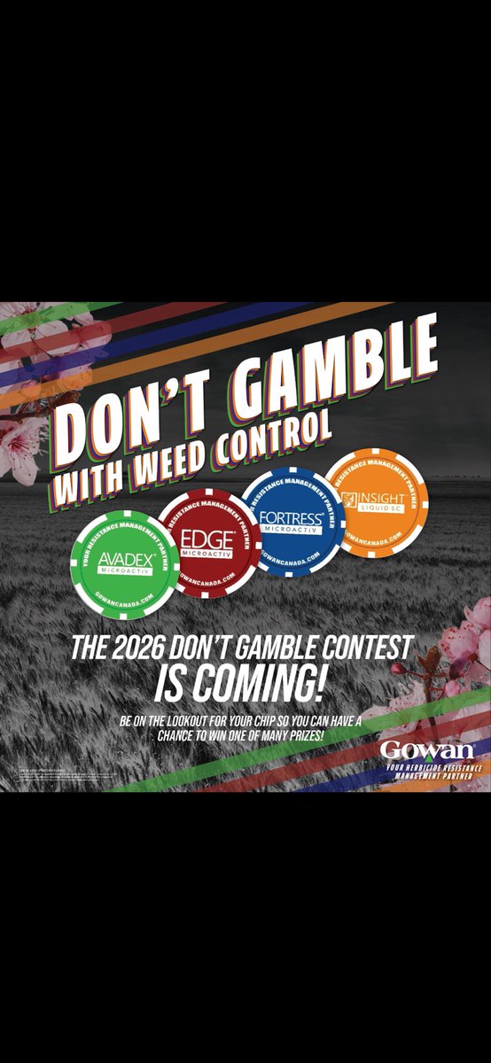 Lauren Rathwell tweet media