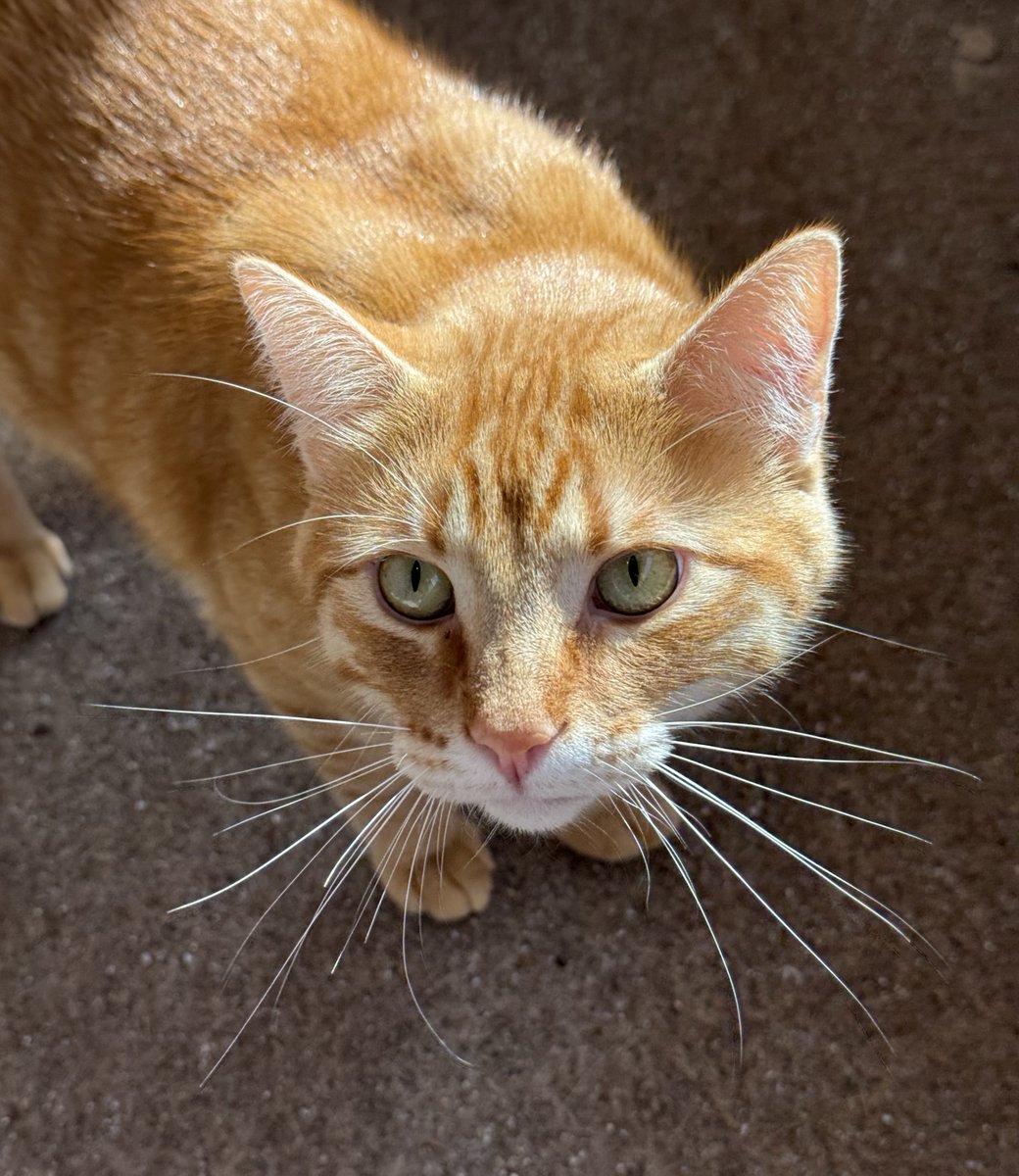 Shannon Minter tweet media