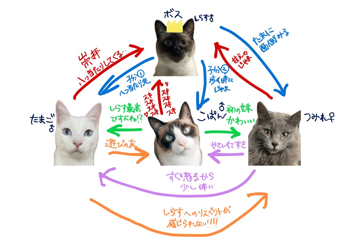 なぷか🪼 tweet media