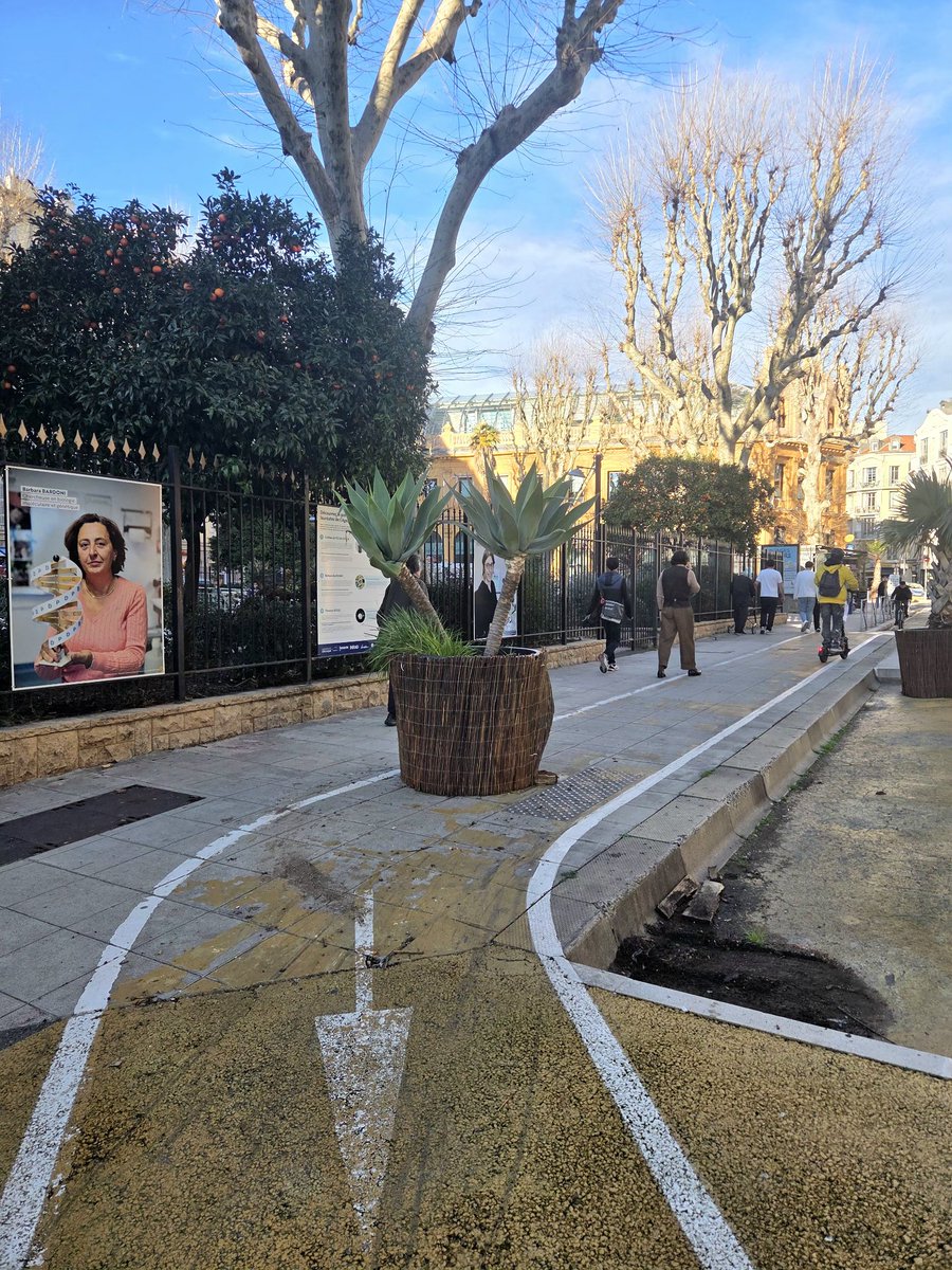 𝕐𝕒𝕟𝕟𝕚𝕔𝕜 tweet media