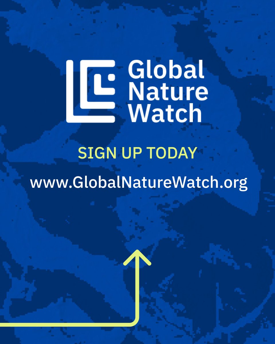 Land & Carbon Lab tweet media