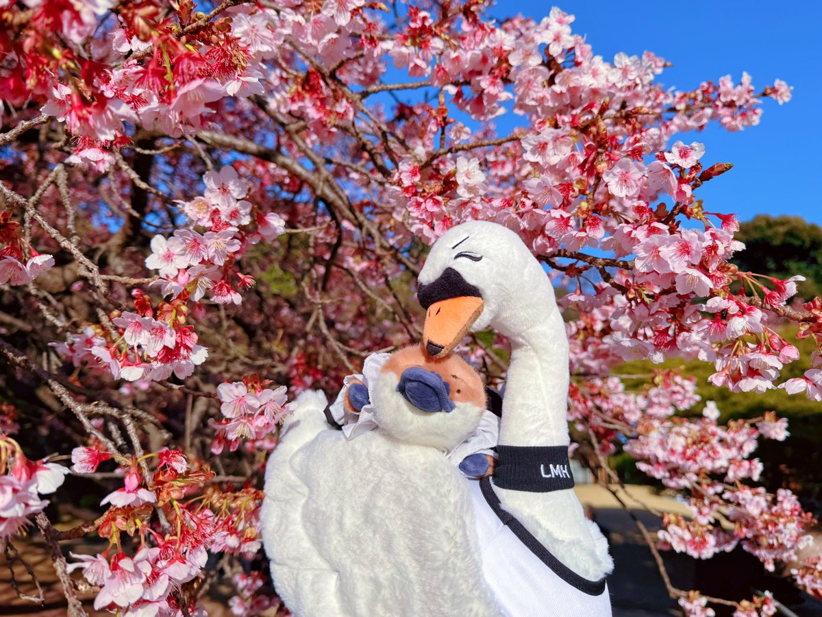 ジョリン tweet media