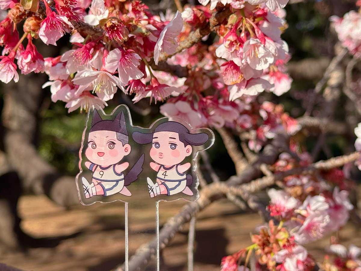 ジョリン tweet media