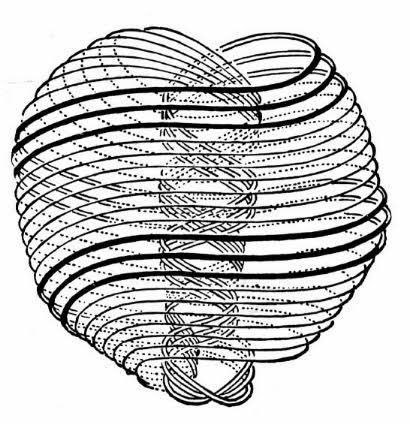 johnny drama (heroic spirit) tweet media