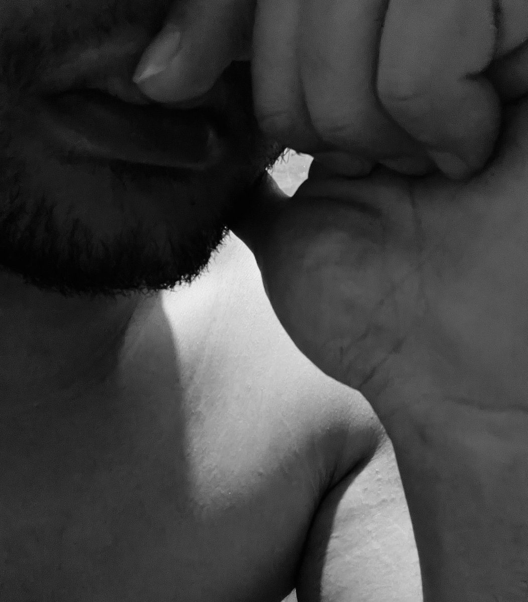 beardpapa tweet media