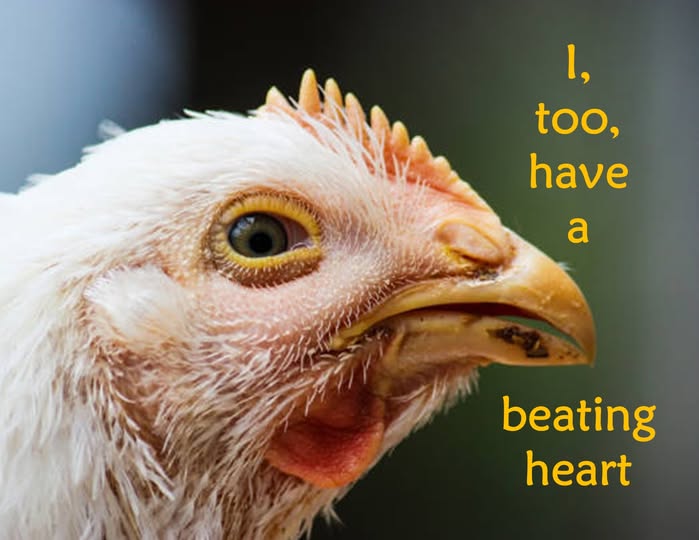 How tragic that we think so little of you that we need to cut you up and serve you on a plate. There is no pride in taking a life, stopping a heart from beating, or joy keeping one confined, broken, wasted. We need a change in our thinking. We need a VEGAN world