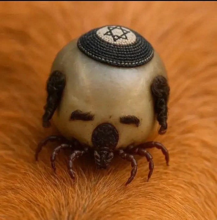 eastersins's tweet photo. We Shall Not Relent! The hebrew devils have now come to Kenya 🇰🇪 trying to turn us into Gaza while playing saint. They will have to learn that this is not their toilet! #FuckIsraelis #KickIsraelOutofKenya #IsraelKeepYourBullshit  @IsraelinKenya Pieces of shit! https://t.co/u6aYUR9RSV