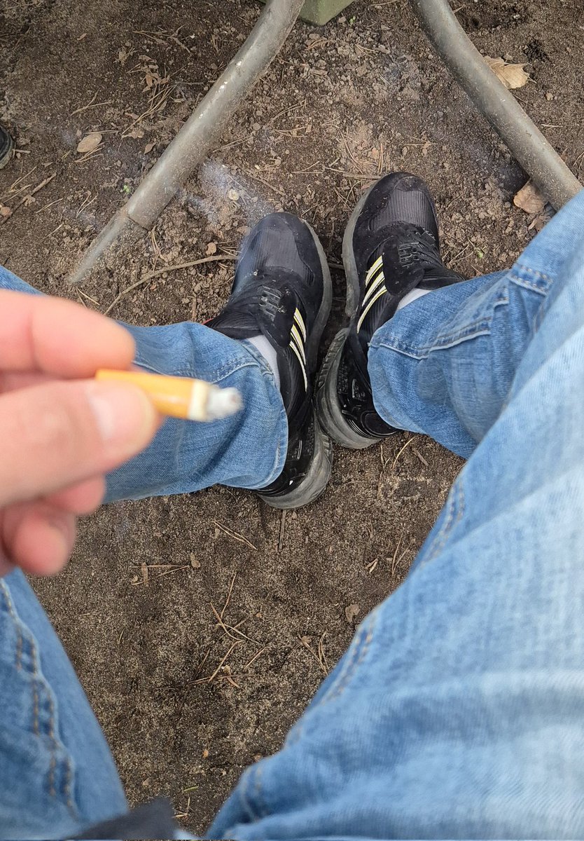 𝔊𝔢𝔯𝔐𝔞𝔫𝔄𝔩𝔭𝔥𝔞 2,2𝐊💰🔞👑 tweet media