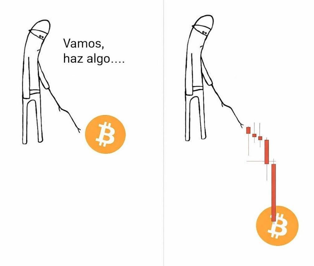 Crypto Profe tweet media