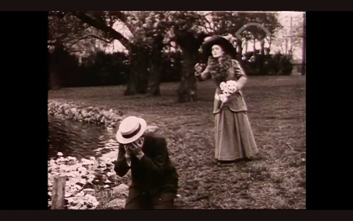 今年の164本目は『Water Lilies』を観た。都会で疲れ果てたダンサー（終始、何を考えているのか不明）が、風光明媚な叔母の家で息を吹き返す。雷の一瞬の閃光で失明するなどという事が実際にあるものだろうか？ とは思うものの、この予期せぬ男の災厄はかなり不気味で、もっと言えば無意味でもある。