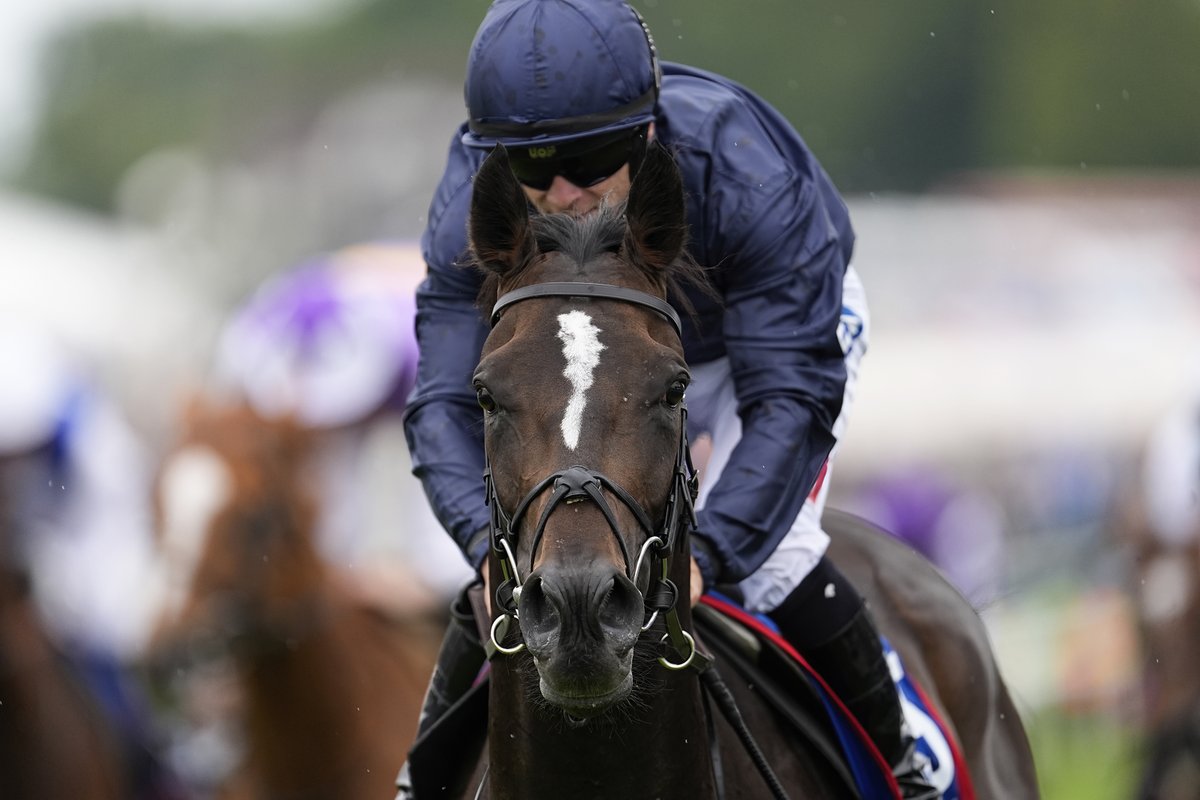 Epsom Downs Racecourse tweet media