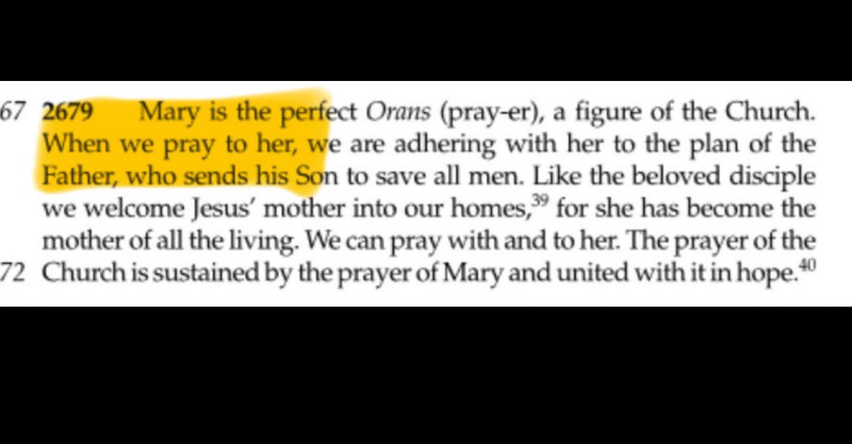 🌷 LIZZIE🌷 tweet media