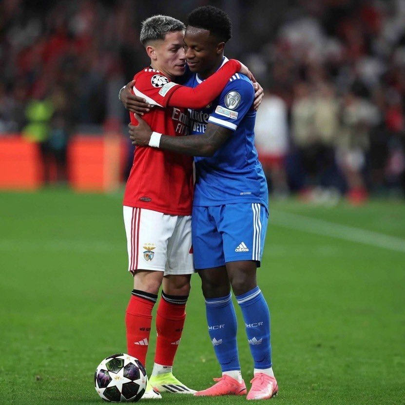 Mundo Novavibes tweet media