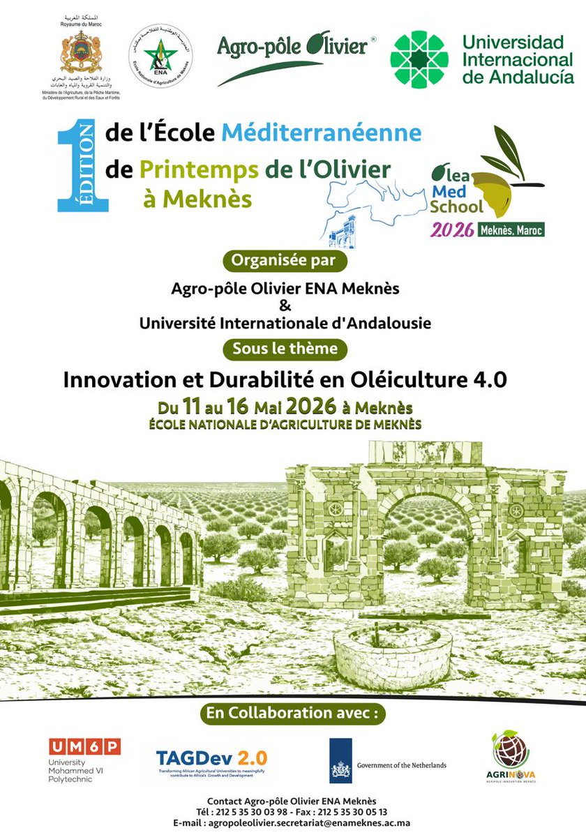 UM6P Innovation & Entrepreneurship Lab tweet media