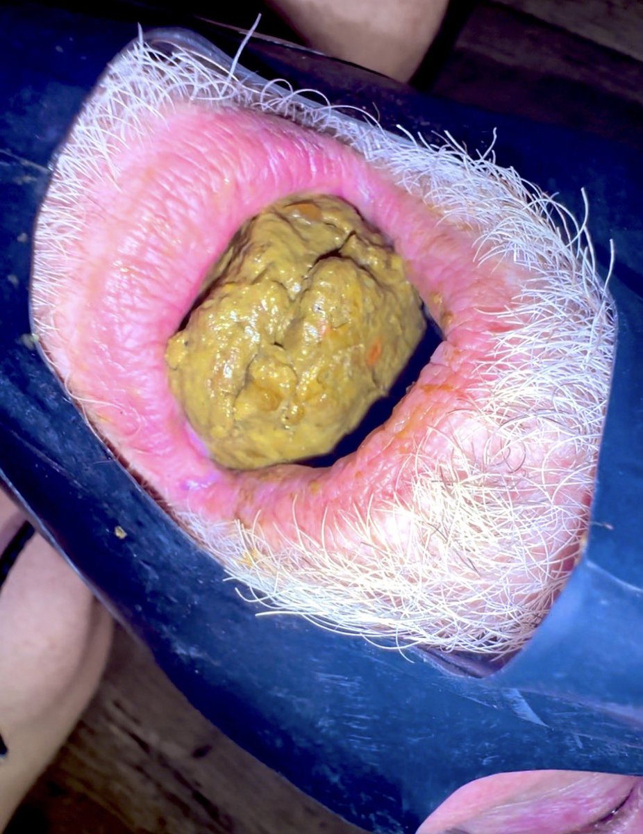 peanutbuttahole tweet media