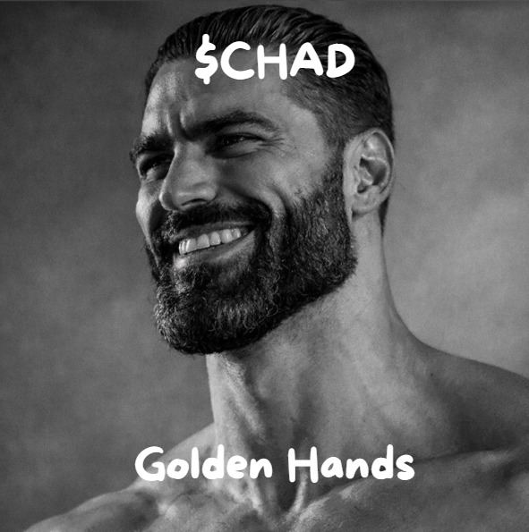 jakegangs's tweet photo. stop being gay be a $CHAD https://t.co/d7CRgJK0Iu