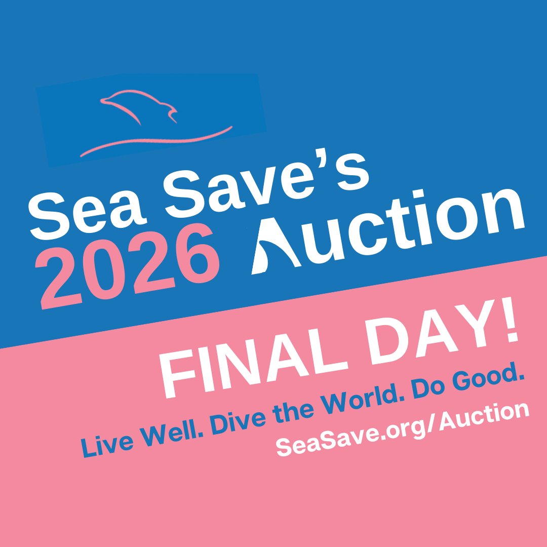 Sea Save Foundation tweet media