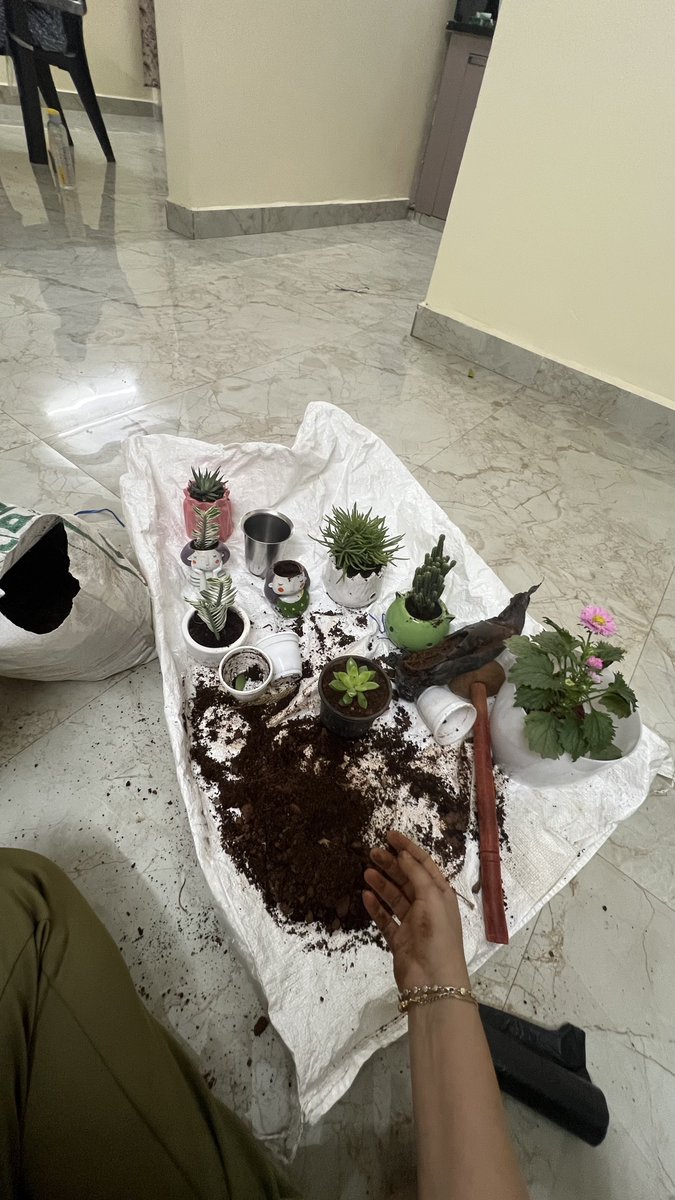 Meruputeega__'s tweet photo. #plants #life #Nature https://t.co/EMgq67mZmG