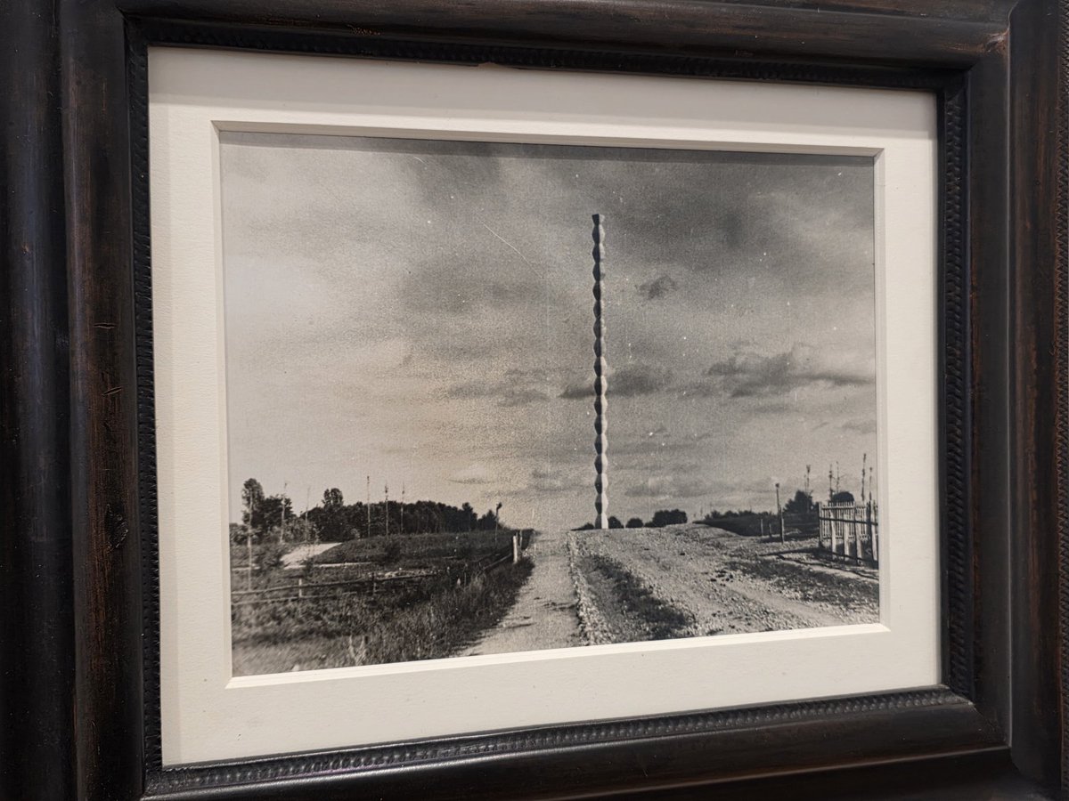 Laura Popescu tweet media