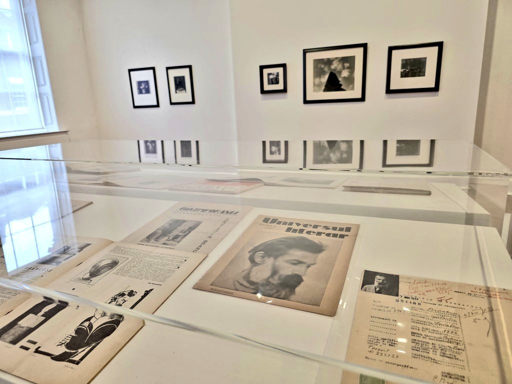 Laura Popescu tweet media