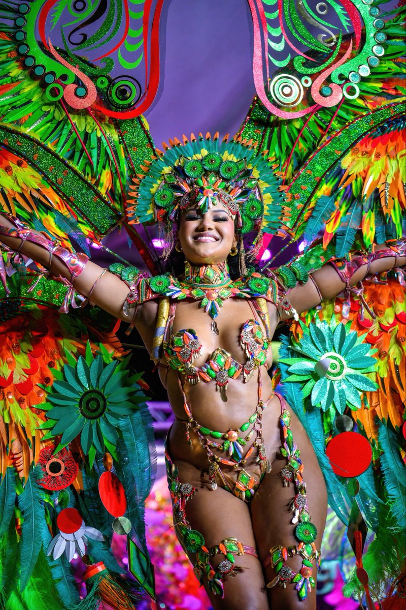 Just4Fun Carnival tweet media