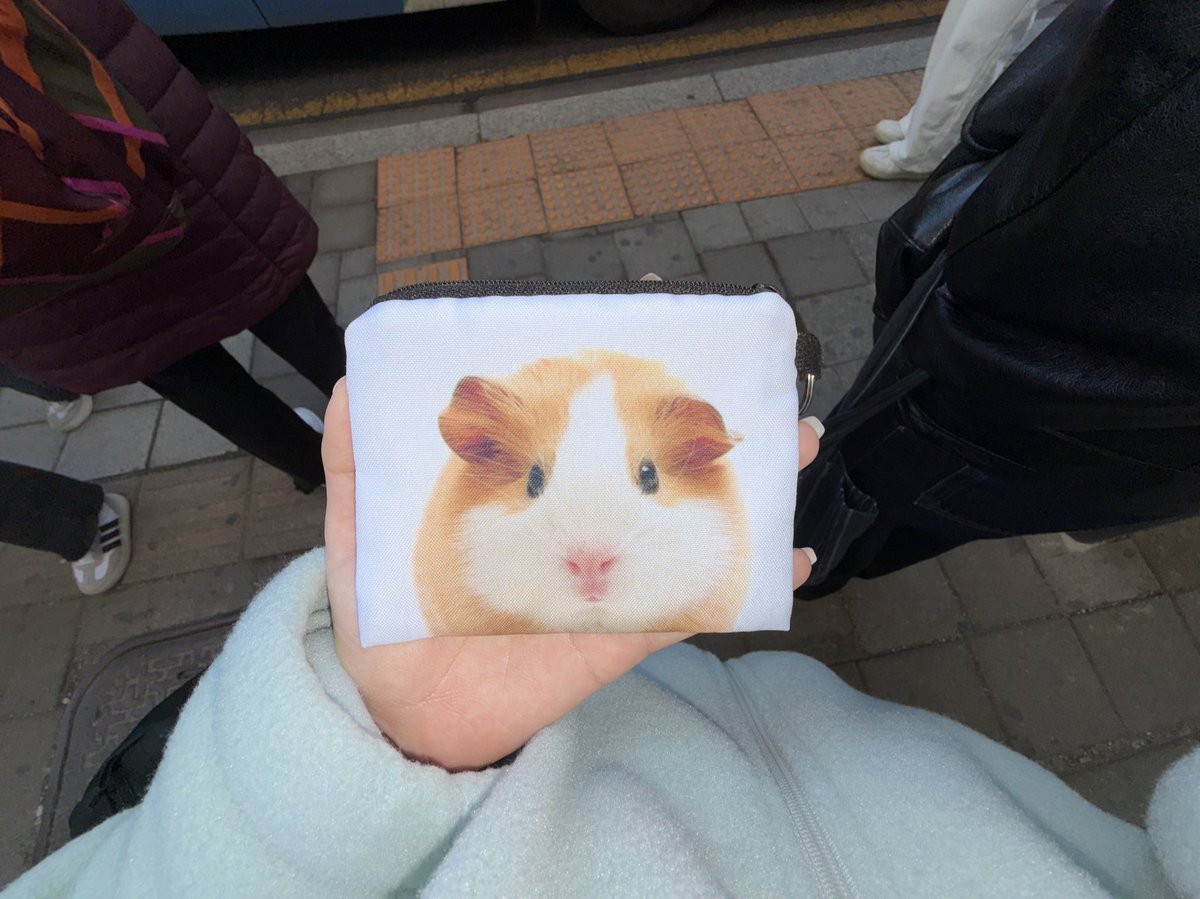 제지갑보실분