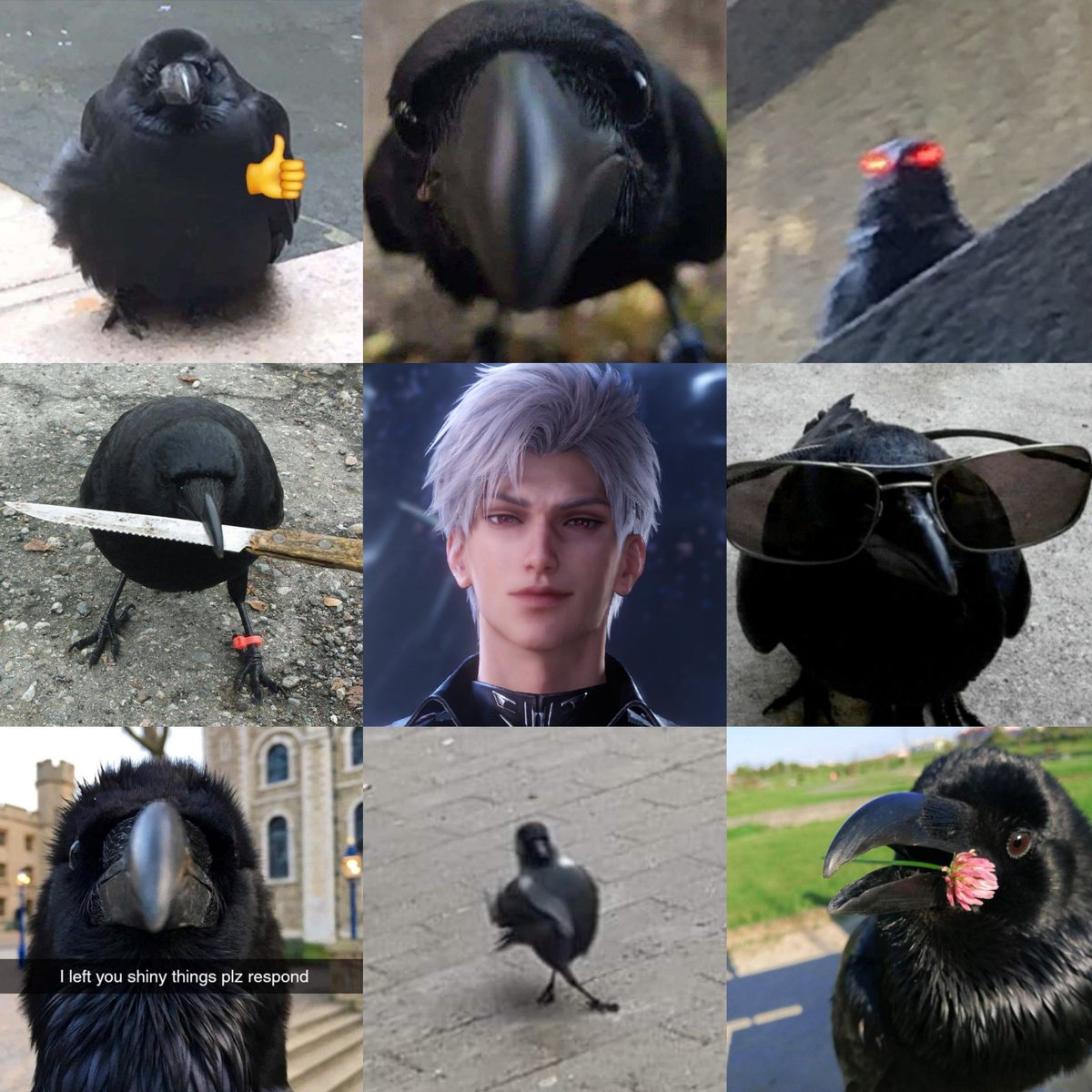 louisa 🕊️ tweet media