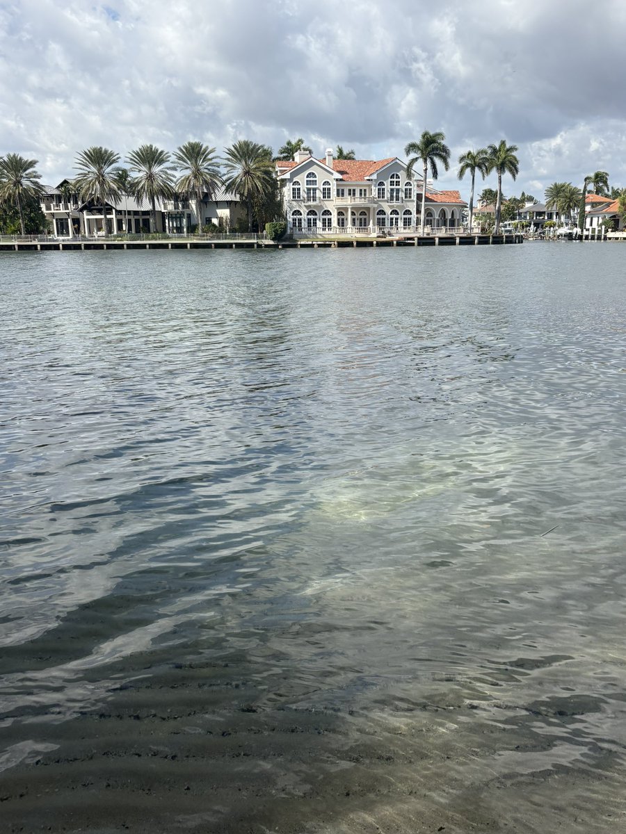 High79Mile's tweet photo. Let's move inβοΈππ©³πποΈ
#CurrentView https://t.co/ftEBkeS3Qh
