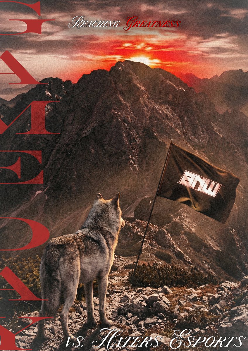 Black N White E-Sport tweet media