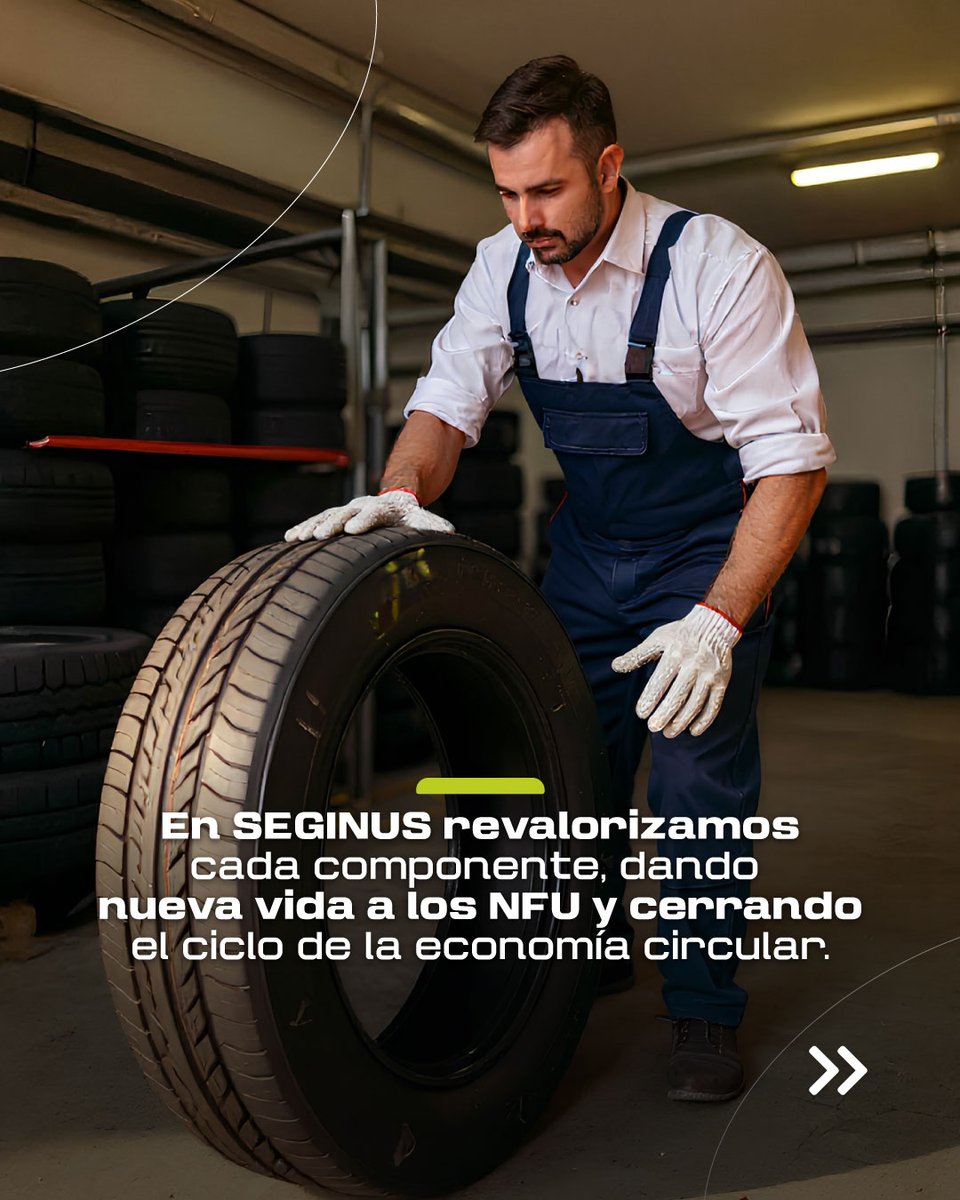 Seginus tweet media