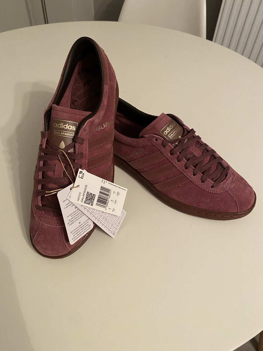 oldm900's tweet photo. @adiFamily_ @The_Dassler 
Galapagos lovely in hand 👌🏻. 
Terrible delivery as box bashed to bits! Thanks flannels!! https://t.co/xfjyBh04Xz