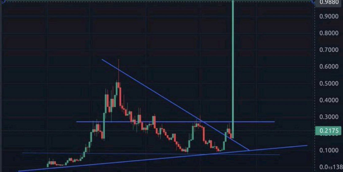 Whale Satoshi tweet media