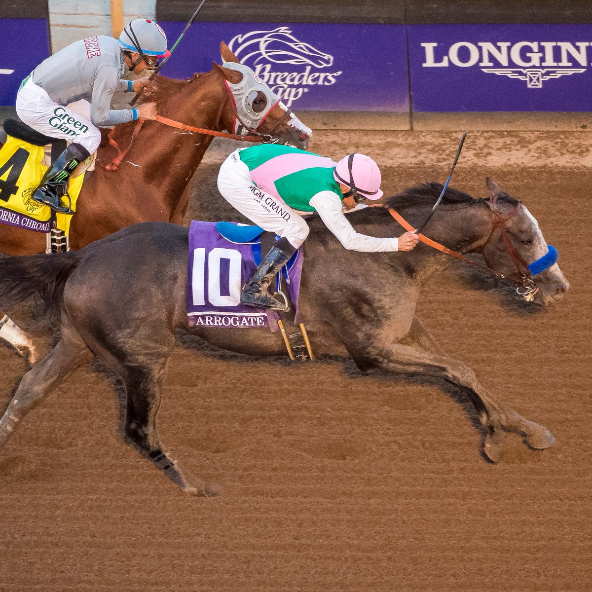 BreedersCup's tweet photo. Dubai World Cup and Breeders' Cup Classic winner, the legendary Arrogate.✨  

@RacingDubai 

📷 @EclipseSports https://t.co/rFP2WaoJzf