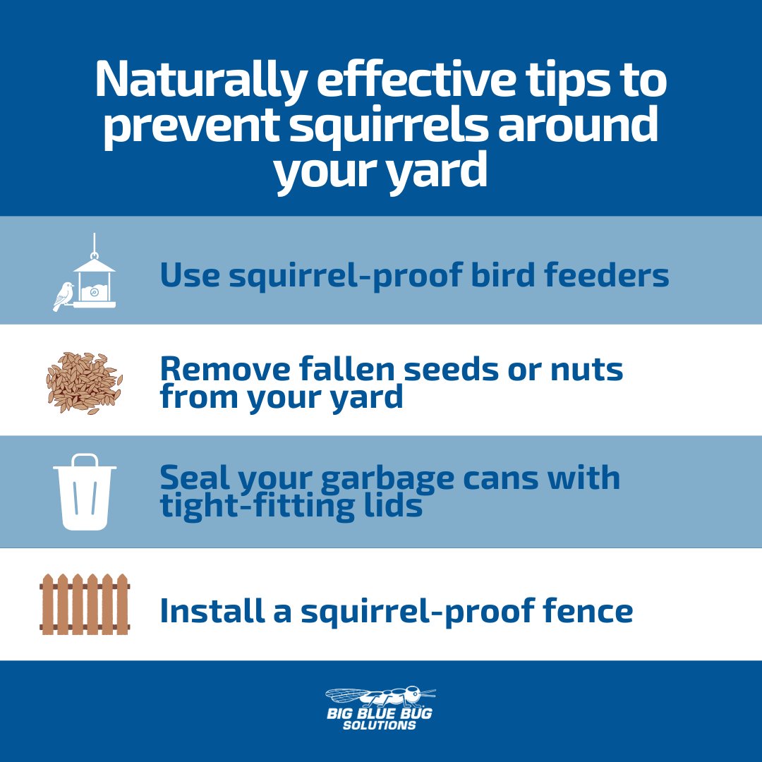 Big Blue Bug tweet media