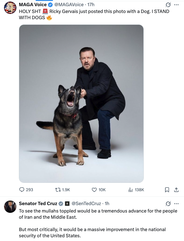 trueblueexe's tweet photo. I made it clear within SECONDS of making this account that I'm a leftist, and immediately this is my feed...

I see that what I've been told about this realm is true.

Joke's on you X, it's gonna take a lot more than that to ragebait THIS girl.

I am here for silly goose-ry ONLY 💙✨

#leftist #LGBTQ #TransTwitter