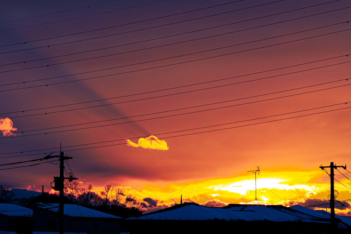 電線と雪と燃える空。

#夕焼け #茜空 #電線のある風景 #電線同好会 #写真好きな人と繋がりたい  #冬の夕焼け #雪景色 #日本の風景

こないだのワンフェス帰り